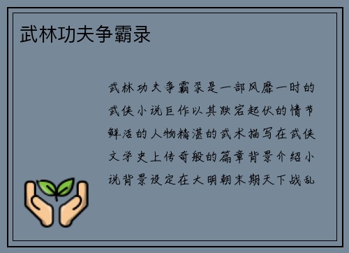 武林功夫争霸录